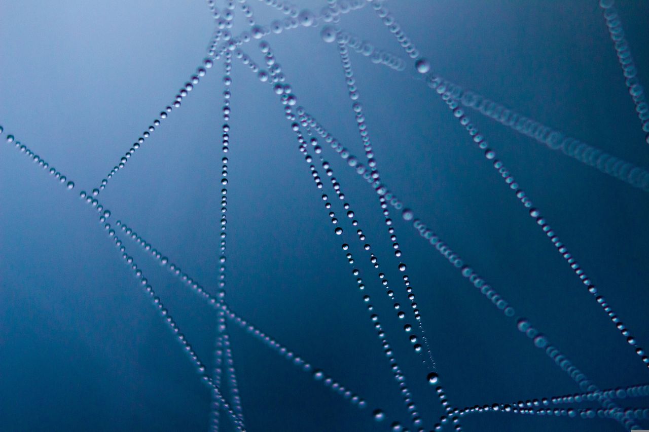 Nahaufnahme eines mit Wassertropfen bedeckten Spinnennetzes als Symbol für unsichtbar in KI-Texte eingewebte Herkunftsspuren