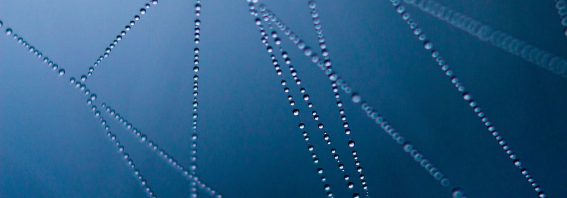 Nahaufnahme eines mit Wassertropfen bedeckten Spinnennetzes als Symbol für unsichtbar in KI-Texte eingewebte Herkunftsspuren